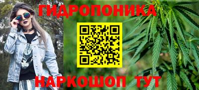 ALPHA PVP Бийск