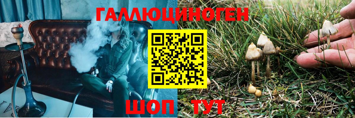 Псилоцибиновые грибы ЛСД Каменск-Уральский
